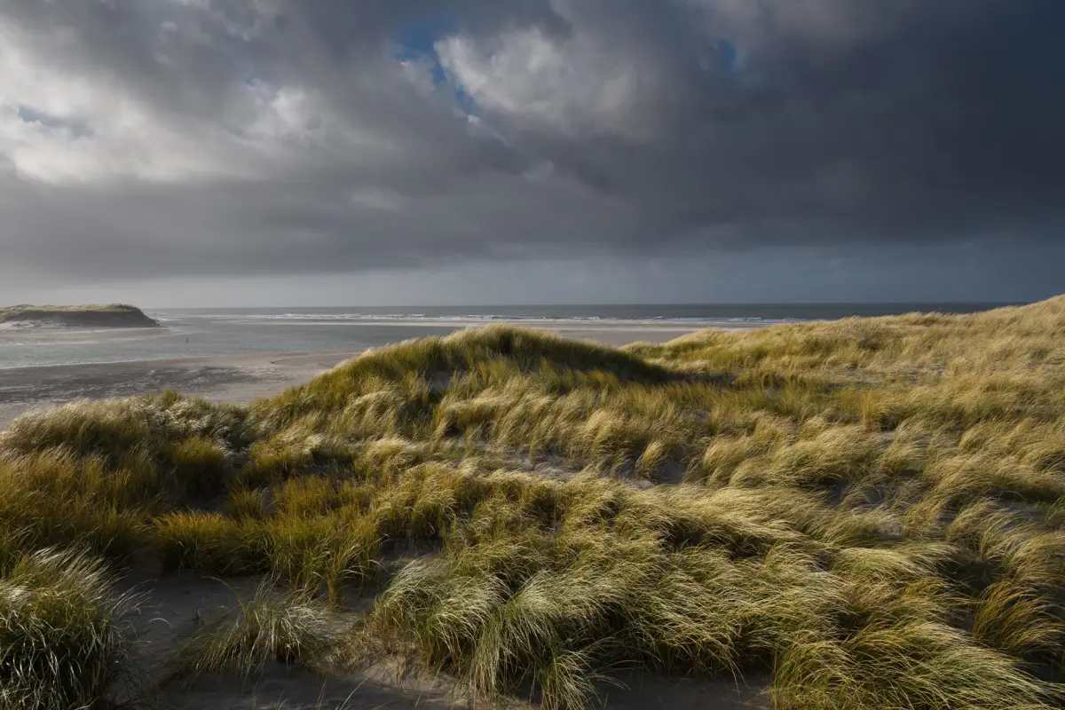Duinen aan de Nederlandse kust